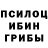 Галлюциногенные грибы Cubensis Forayzen C