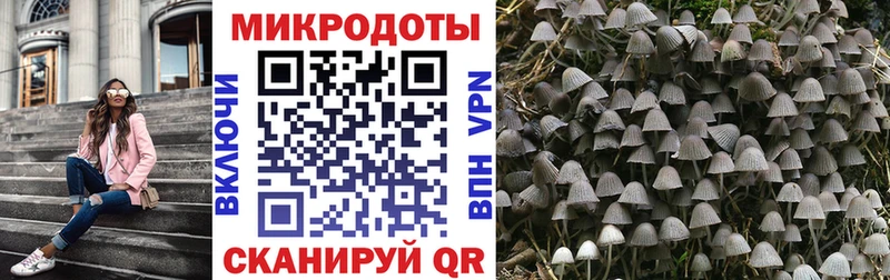 Псилоцибиновые грибы MAGIC MUSHROOMS где можно купить Барабинск