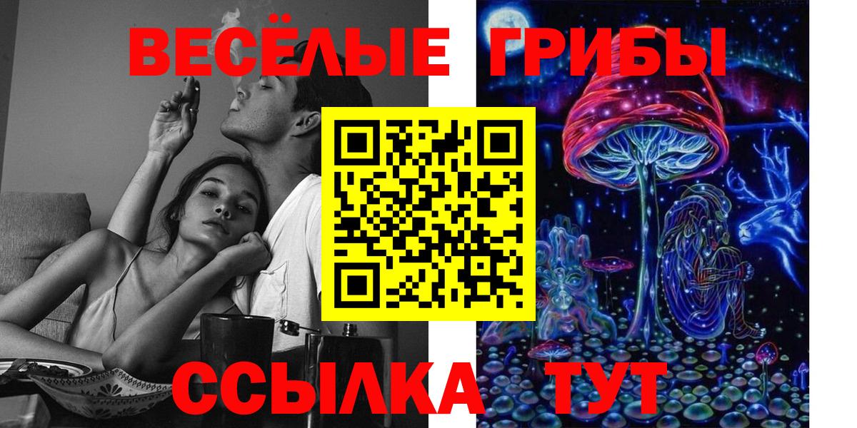 Барабинск  Псилоцибиновые грибы Psilocybe  Вход с VPN 